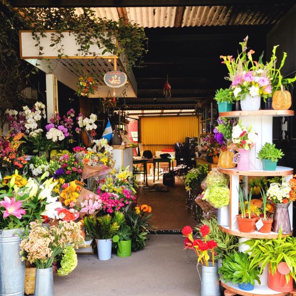 Mimaflor Flower Shop