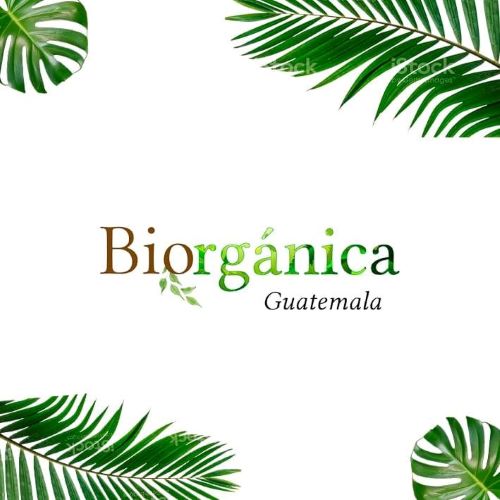 Biorganica Guatemala beauty services