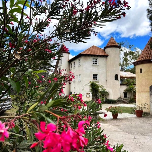 chateau-defay-wine-tasting-vineyard-tour