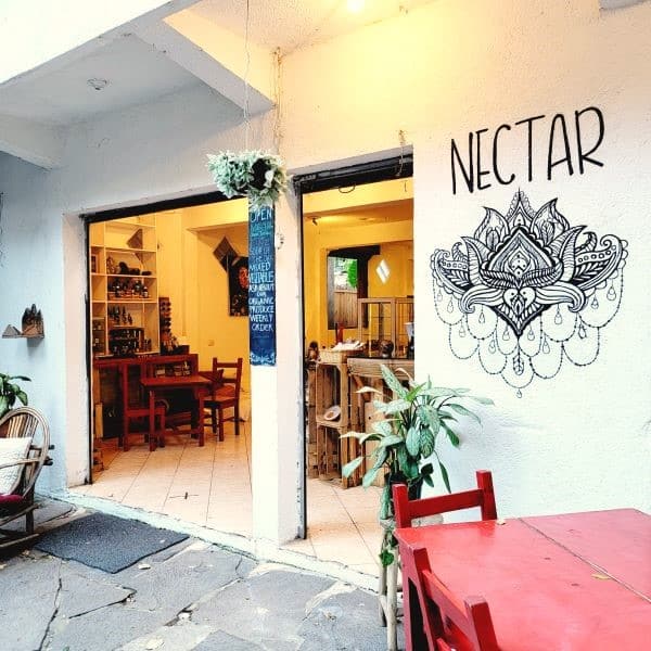 Nectar ArtCafe San Marcos